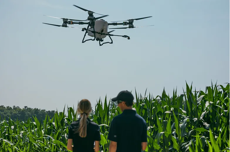 Two Sylvite agronomists watching a drone fly over a corn field